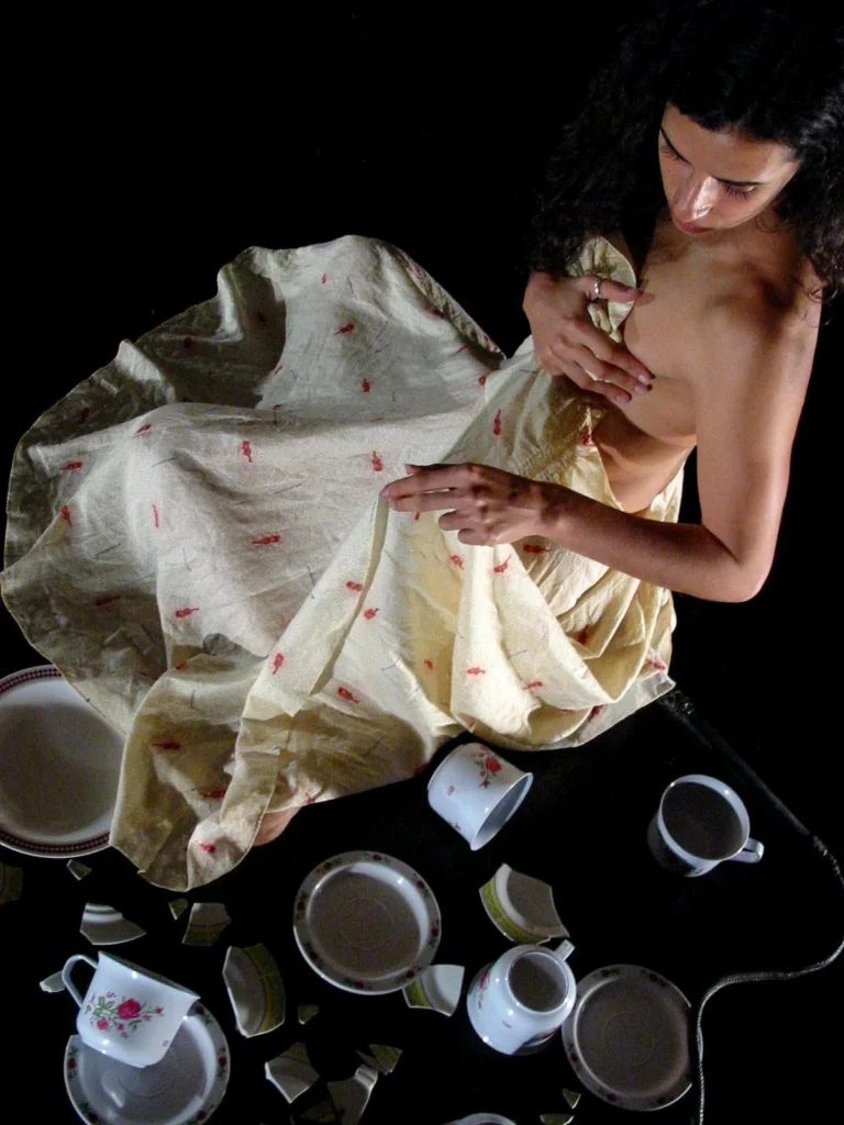 Platos rotos (2004)