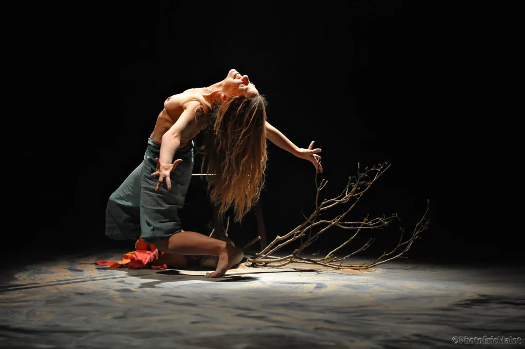 Una atracción invisible (2011)