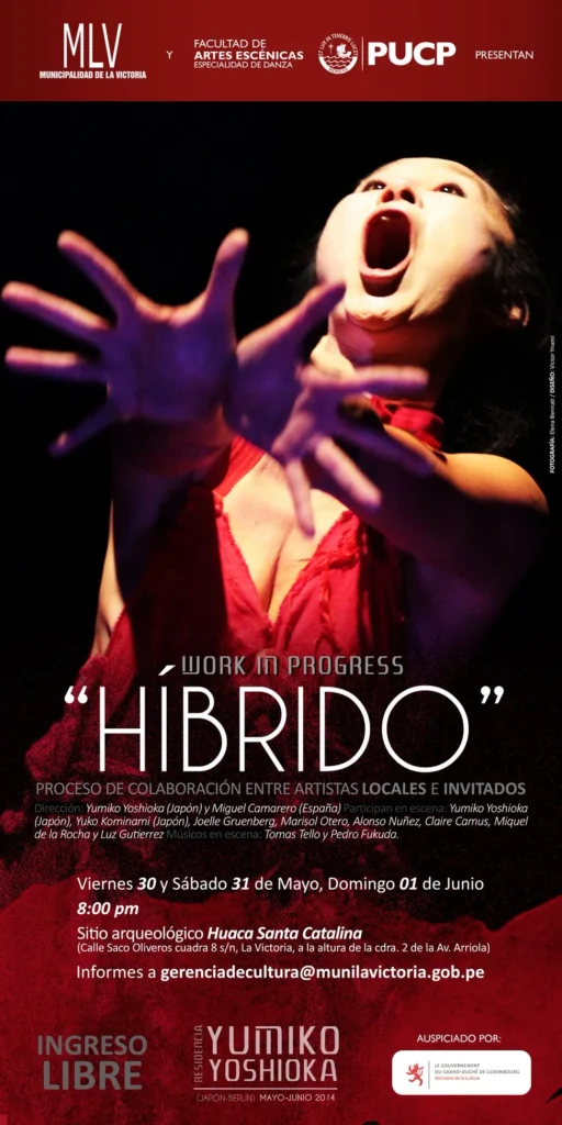 Work in Progress “Híbrido” - Residencia Yumiko Yoshioka (2014)