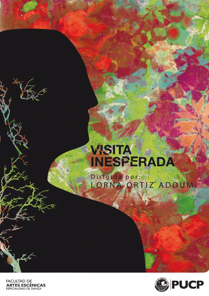 Visita inesperada (2014)