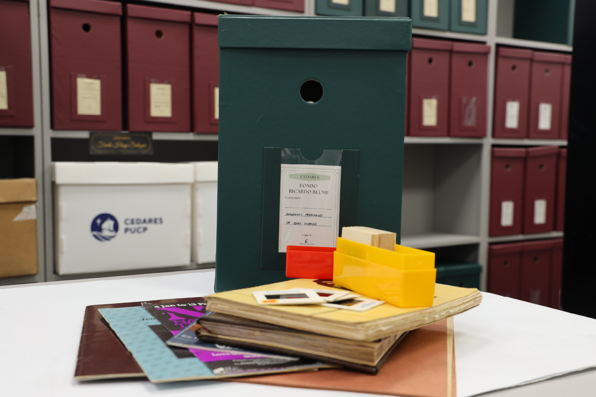 Una mirada distinta: los alcances del archivo personal